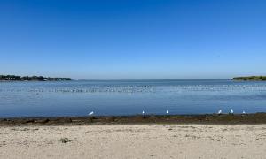 Looking west from the Huron pier in October 2025. Huron, Ohio. Great Lakes Water in Action. Steve Holland.