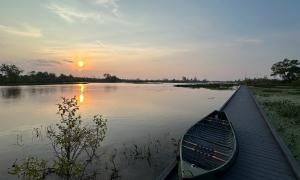 Early morning start for sample collection in Hillman Marsh. Leamington, Ontario. Research, Education & Science. Kayla Martin.