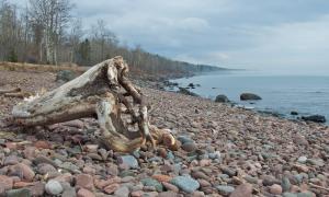 Driftwood and pebbles on Brighton Beach, Duluth, Minnesota. Great Lakes Water in Action. Michael Kris Anderson.