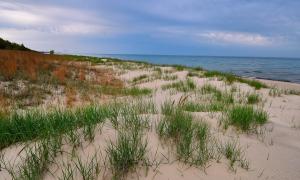 Dune grasses at the water's edge on Kemil Beach. Indiana Dunes National Park, Lake Michigan. Recreation. Phanikumar Mantha