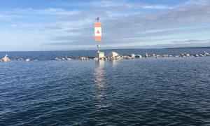 Meridith Rocks, formerly a productive cormorant and common tern island in low water years but flooded in 2022. Little Current, Ontario. Research, Science and Education. James Ludwig