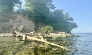 The mouth of 12 Mile Creek, following record high water levels in Lake Ontario in 2017 and 2019. Wilson, New York. Great Lakes Water in Action. John Schmidt