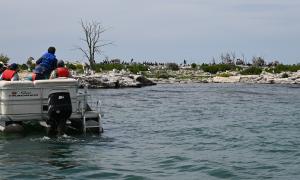 Naturalists enjoy excellent views of cormorants, gulls and great blue herons, the Fishing Islands in Lake Huron. Red Bay, Ontario. Recreation. Gord McNulty