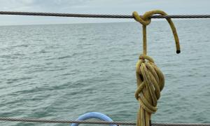 Rope tied off on a research vessel during fieldwork in May in Lake Erie. Monroe, Michigan. Research, Education and Science. Jasmine Mancuso