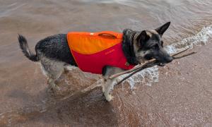 Safety is important for everyone enjoying the waves. Duluth, Minnesota. Recreation. Brian Huberty